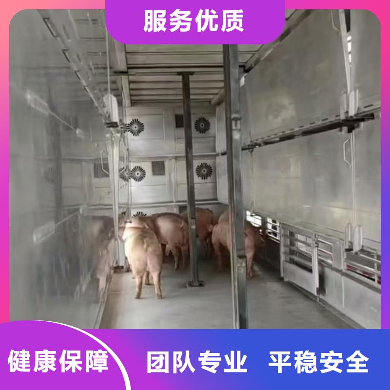 宿州到散装料专用车安静舒适